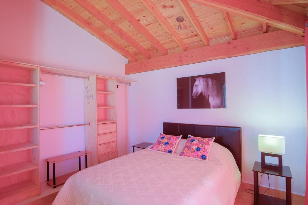 Little Nest En Rancho El Rossinyol Guest House Valle de Guadalupe Luaran gambar
