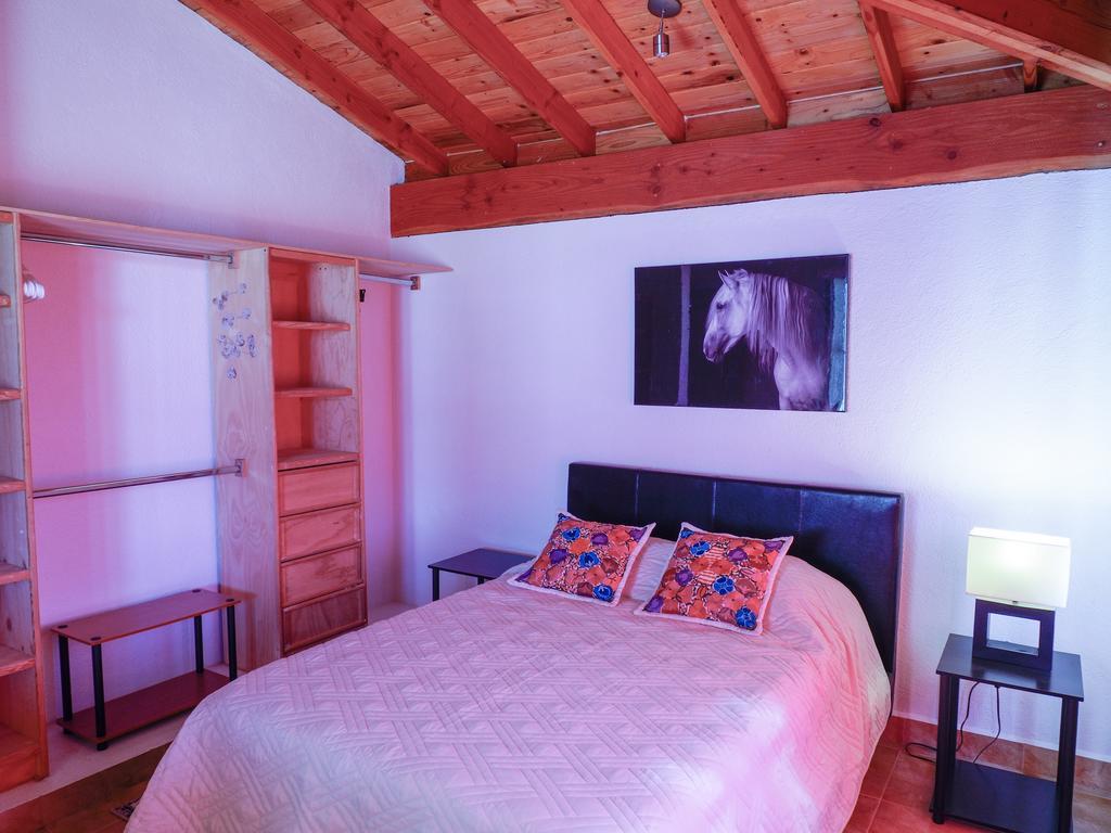 Little Nest En Rancho El Rossinyol Guest House Valle de Guadalupe Luaran gambar
